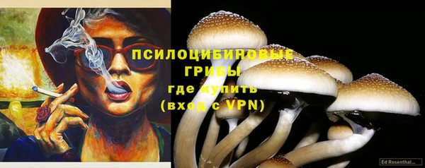 тгк Баксан